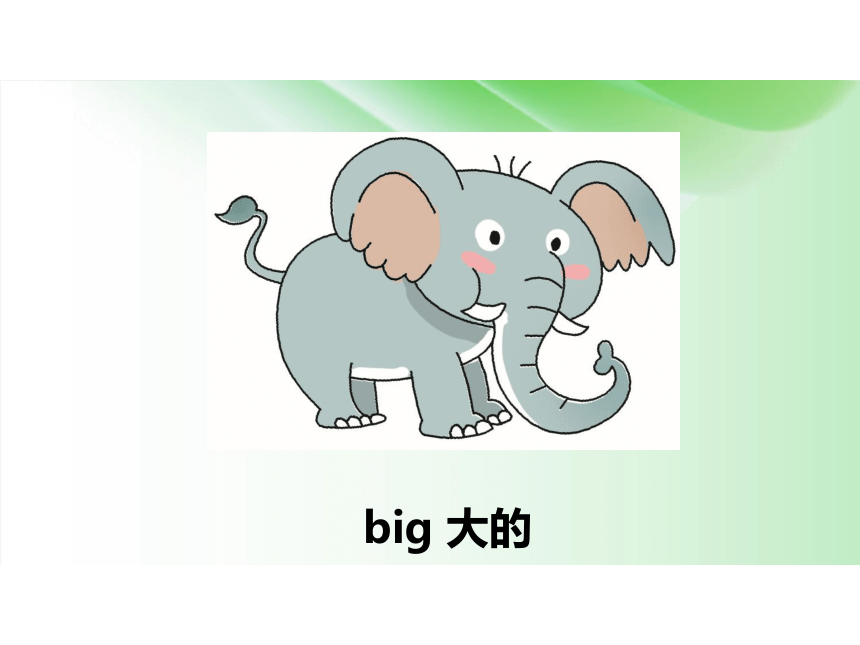 Unit 3 At the zoo Part B 课件(共43张PPT)