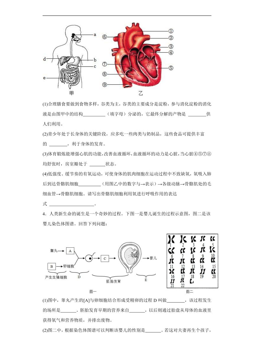 2024年中考生物专题复习：综合题（含答案）