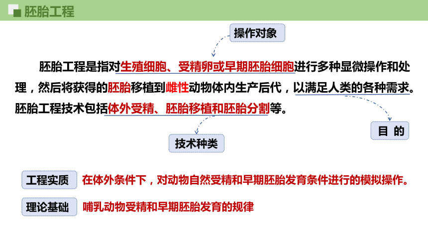 生物人教版（2019）选择性必修3 2.3.1胚胎工程的理论基础（课件共22张ppt）