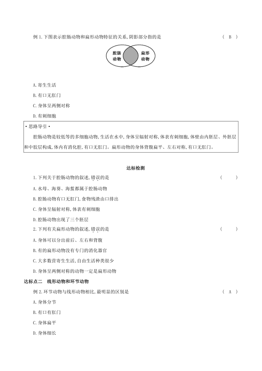 5.1 动物的主要类群 学案 （含答案）生物人教版八年级上册