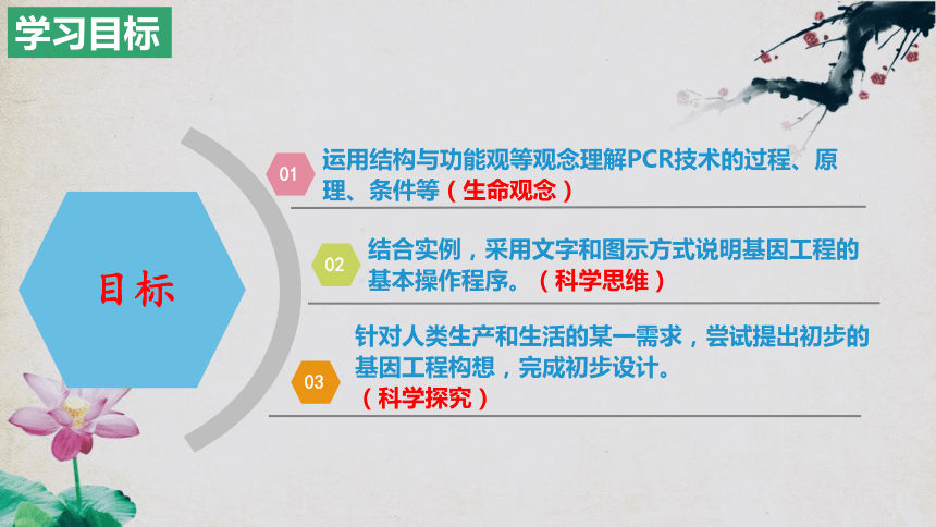 3.2基因工程的基本操作程序(共66张PPT1份视频)课件（第二课时）人教版2019选择性必修3