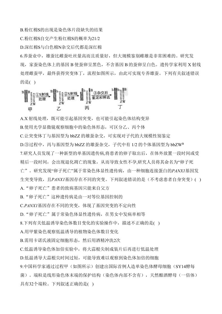 第三章 生物的变异—2023-2024学年高一生物学苏教版（2019）必修二单元检测卷（A卷）（含解析）