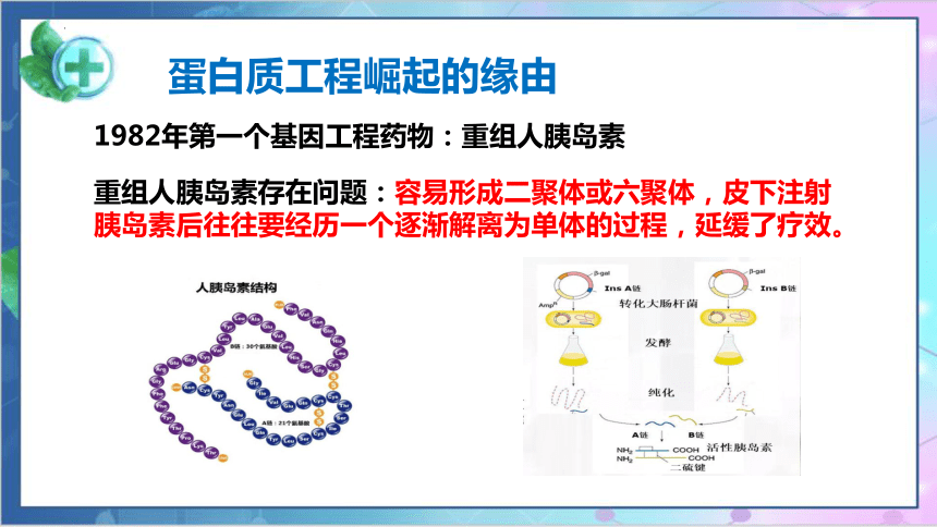 3.4蛋白质工程的原理和应用课件（共28张PPT1个视频）-人教版选择性必修3