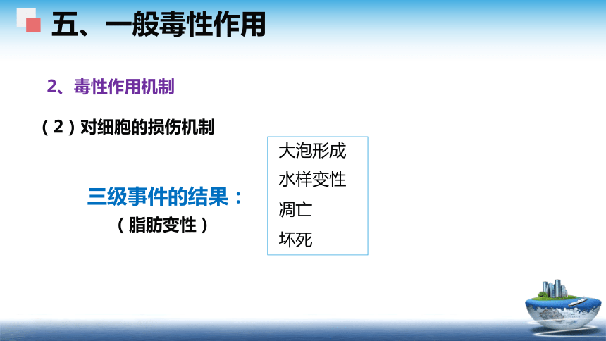 4食品安全性评价（2） 课件(共58张PPT)- 《食品安全与控制第五版》同步教学（大连理工版）