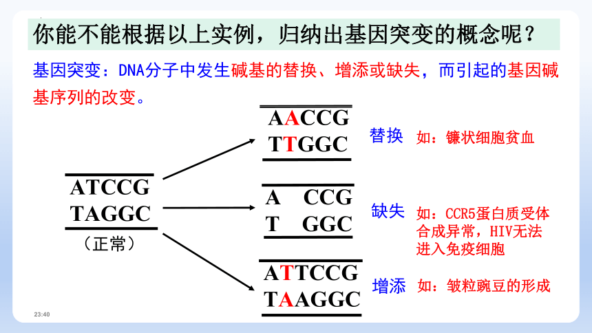 5.1基因突变与基因重组课件（共33张PPT）-人教版（2019）必修2