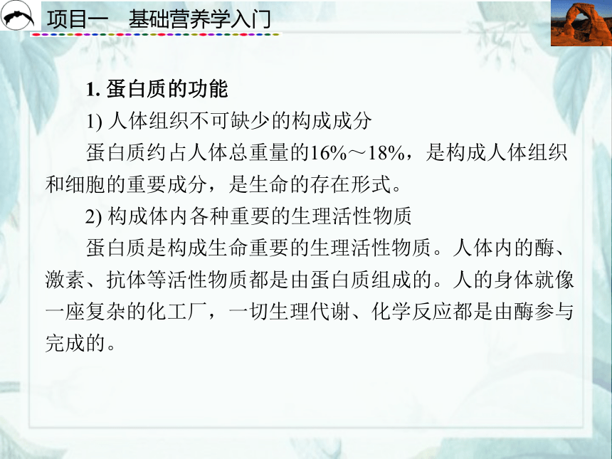 项目1  基础营养学入门_2 课件(共61张PPT)- 《食品营养与卫生》同步教学（西安科大版）