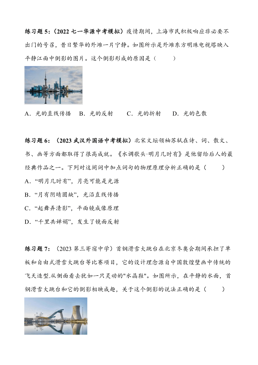 2023~2024学年湖北省武汉市四月调考物理专题复习——光现象（含答案）