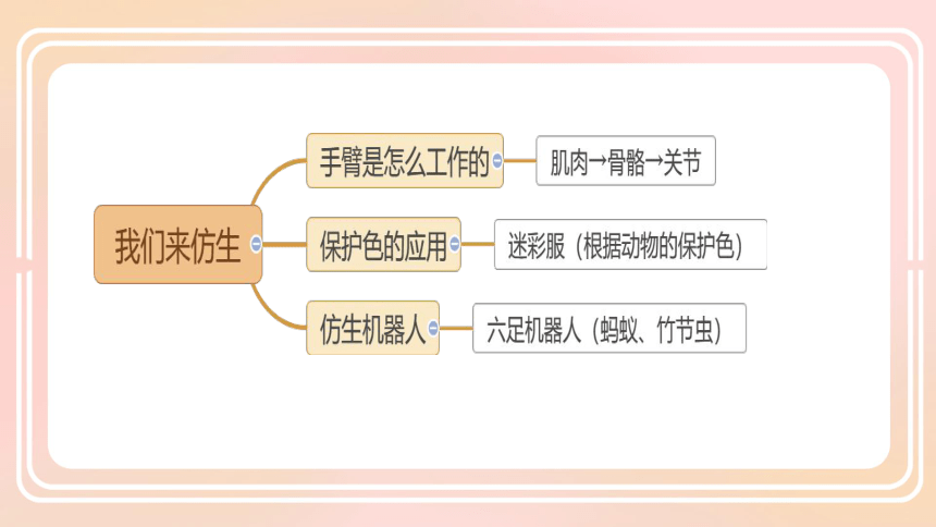 苏教版（2017秋）小学科学 第二单元 仿生 整理复习课件（共13张PPT）