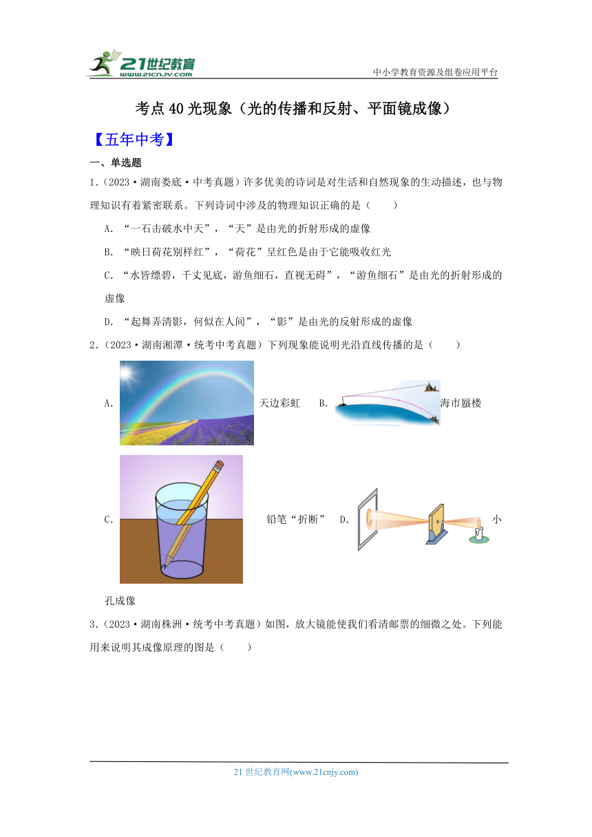 考点40光现象（光的传播和反射、平面镜成像）（有解析）-湖南省2024届中考物理备课之5年中考真题2年模拟重点专题练习