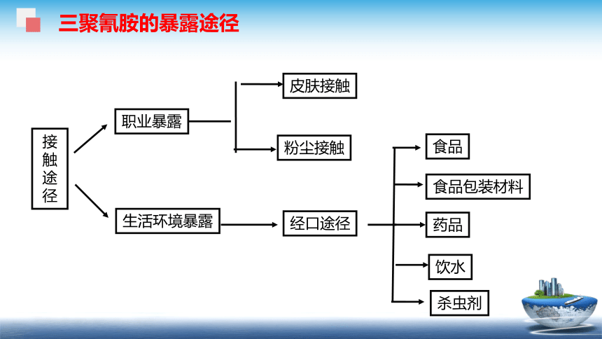 4食品安全性评价（1）课件(共40张PPT)- 《食品安全与控制第五版》同步教学（大连理工版）