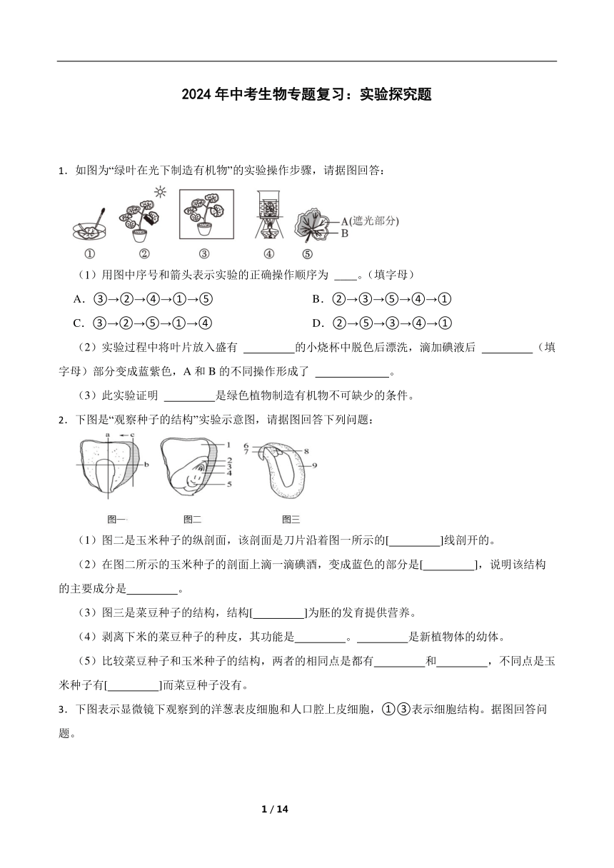 2024年中考生物专题复习：实验探究题（含答案）