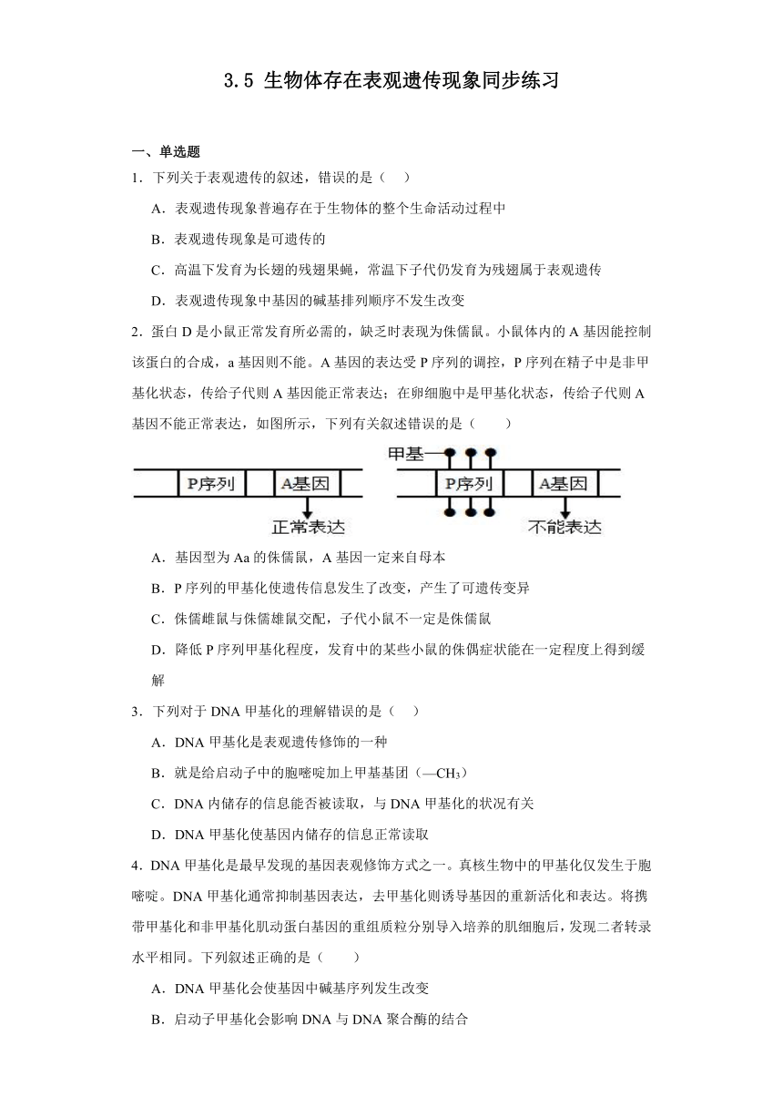 3.5生物体存在表观遗传现象同步练习2023-2024学年高一下学期生物浙科版必修2（解析版）