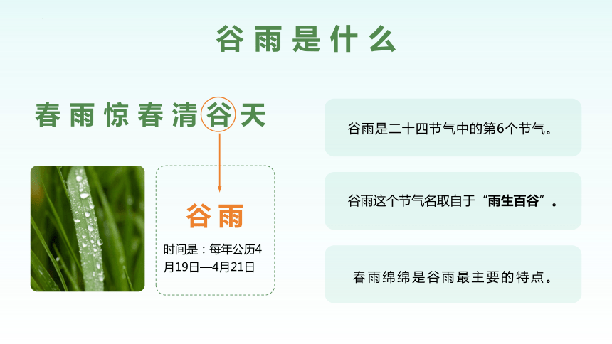 小学生主题班会  二十四节气文化之谷雨文化 课件(共22张PPT)