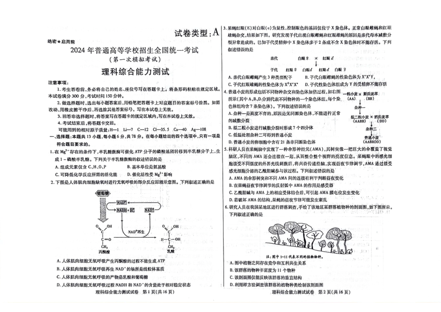 2024届内蒙古自治区包头市高三下学期一模理科综合试题（PDF版无答案）