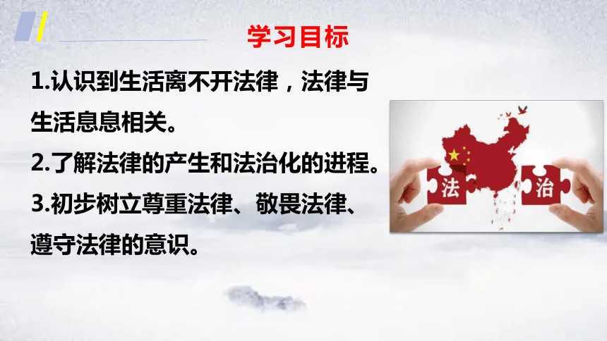 9.1生活需要法律  课件(共23张PPT)- 统编版道德与法治七年级下册