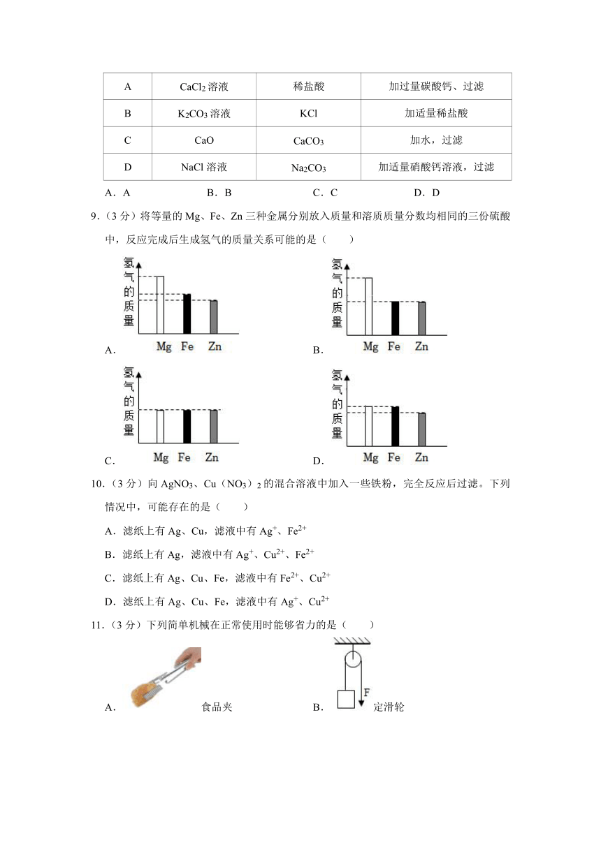 浙江省杭州市西湖区东方中学2022-2023学年第一学期九年级期中科学试卷（含解析）