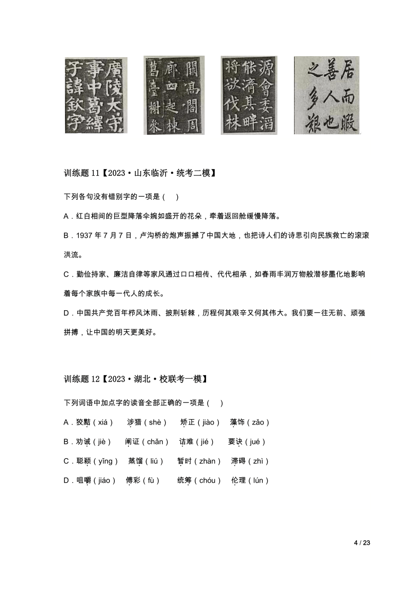 2024中考语文题型分类专练-专题01基础-字音字形专练（含解析）