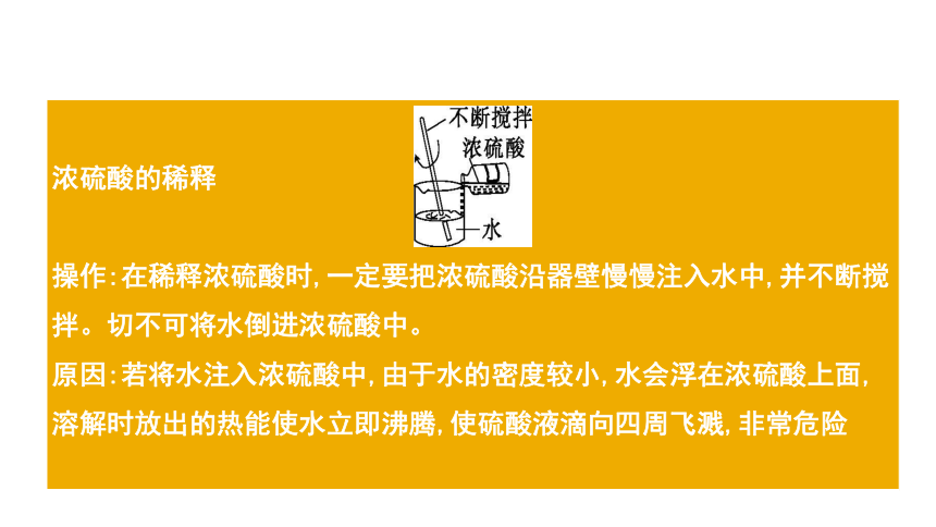 2024年中考化学总复习考点探究 课件 第十单元 酸和碱 第1课时(共51张PPT)