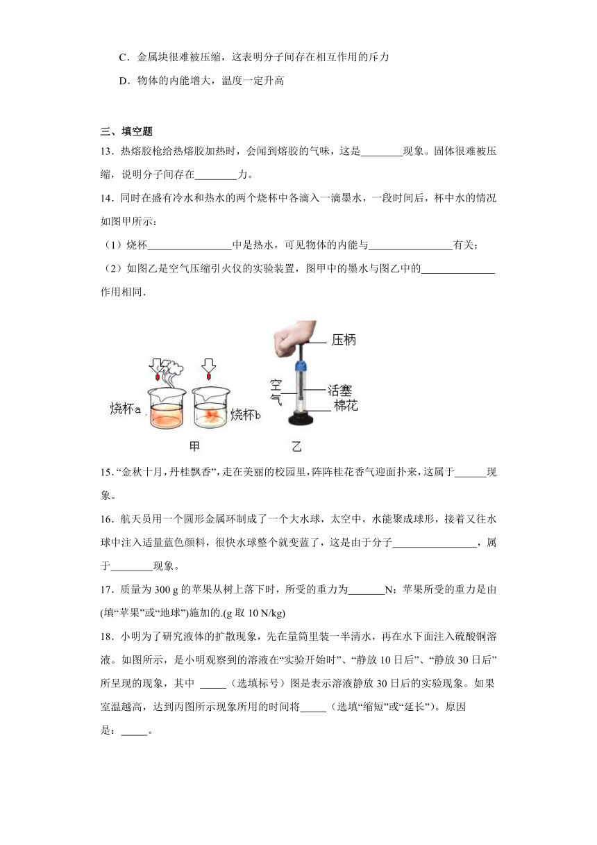 第十章　从粒子到宇宙单元练习（含答案）2023-2024学年沪粤版八年级物理下册