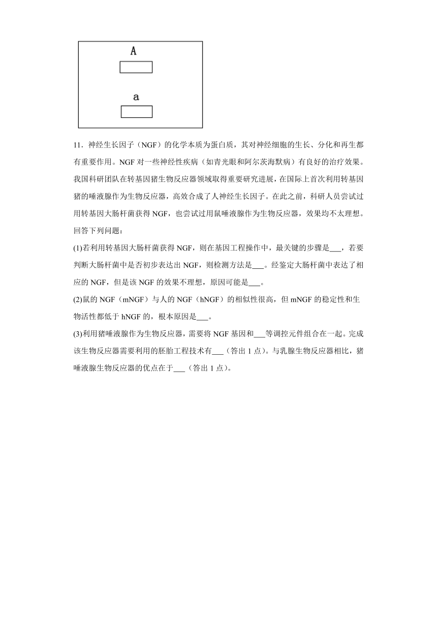 河南省新乡市2023-2024学年高三第一次模拟考试生物试题（含解析）