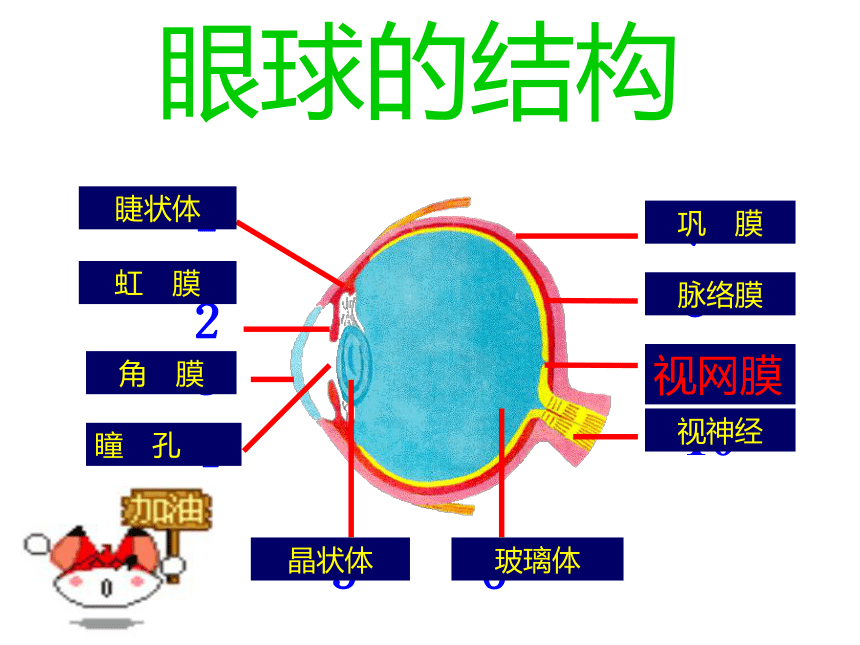 小学班会 爱护眼睛    保护视力 课件 (15张PPT)