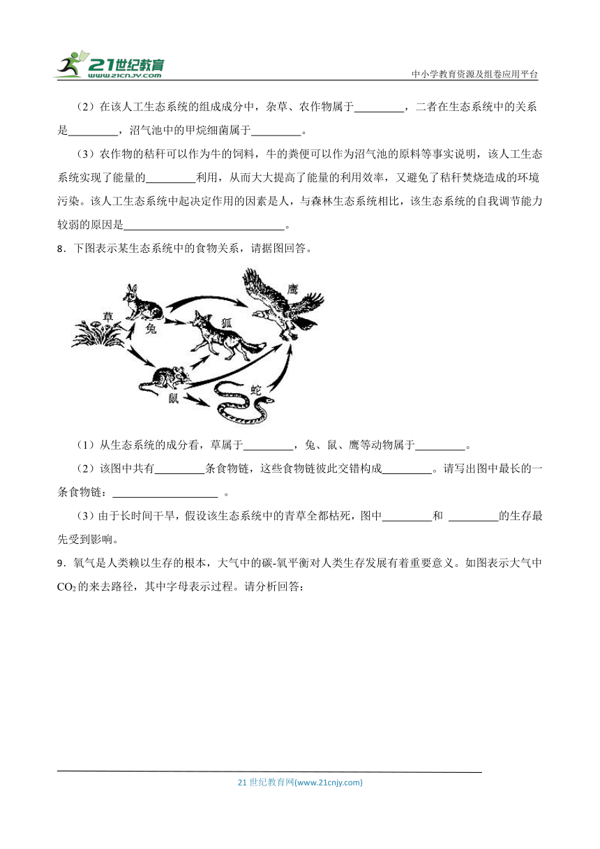 2024年中考生物读图理解专题复习：生物与生物圈训练（含答案）