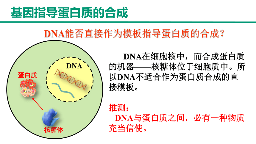 4.1基因指导蛋白质的合成（第1课时）(共38张PPT)高一下学期生物人教版（2019）必修2 (1)