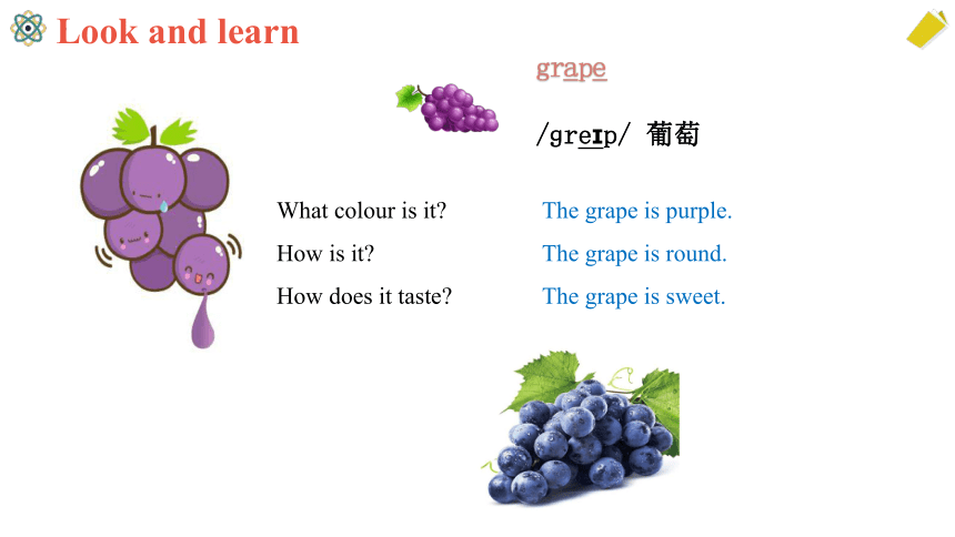 Module 1 Using my five senses Unit 1 What can you smell and taste?课件(共24张PPT)
