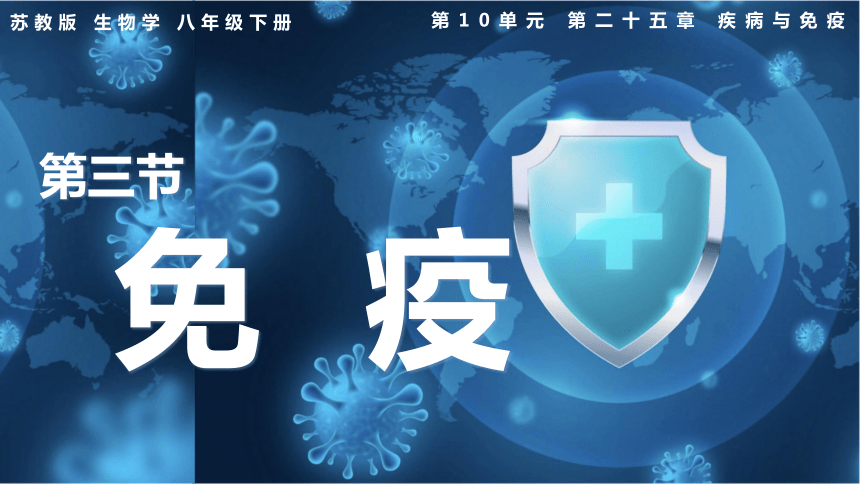 10.25.3免疫课件（共39张PPT+内嵌视频1个） 苏教版生物八年级下册