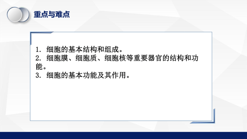 2.3.1细胞的基本结构和功能（第2课时）课件（共23张PPT）2023-2024学年北师大版生物七年级上册