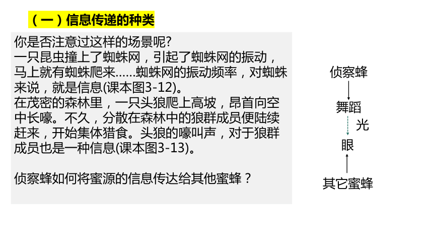 3.4生态系统的信息传递课件-(共19张PPT)人教版（2019）选择性必修2