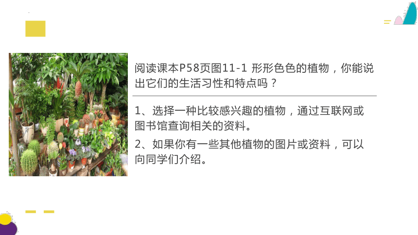 5.11.1 地面上的植物（第1课时）2023-2024学年七年级生物下册同步精品课件（苏科版）(共24张PPT)