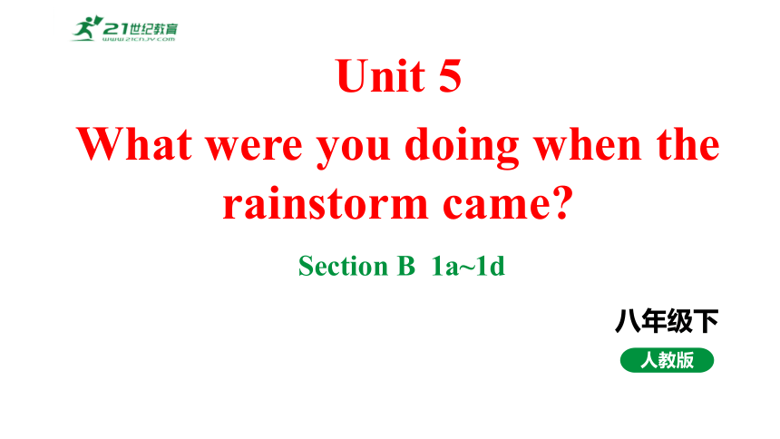 Unit5What were you doing when the rainstorm came.SectionB1a~1d课件2023-2024学年度人教版英语八年级下册