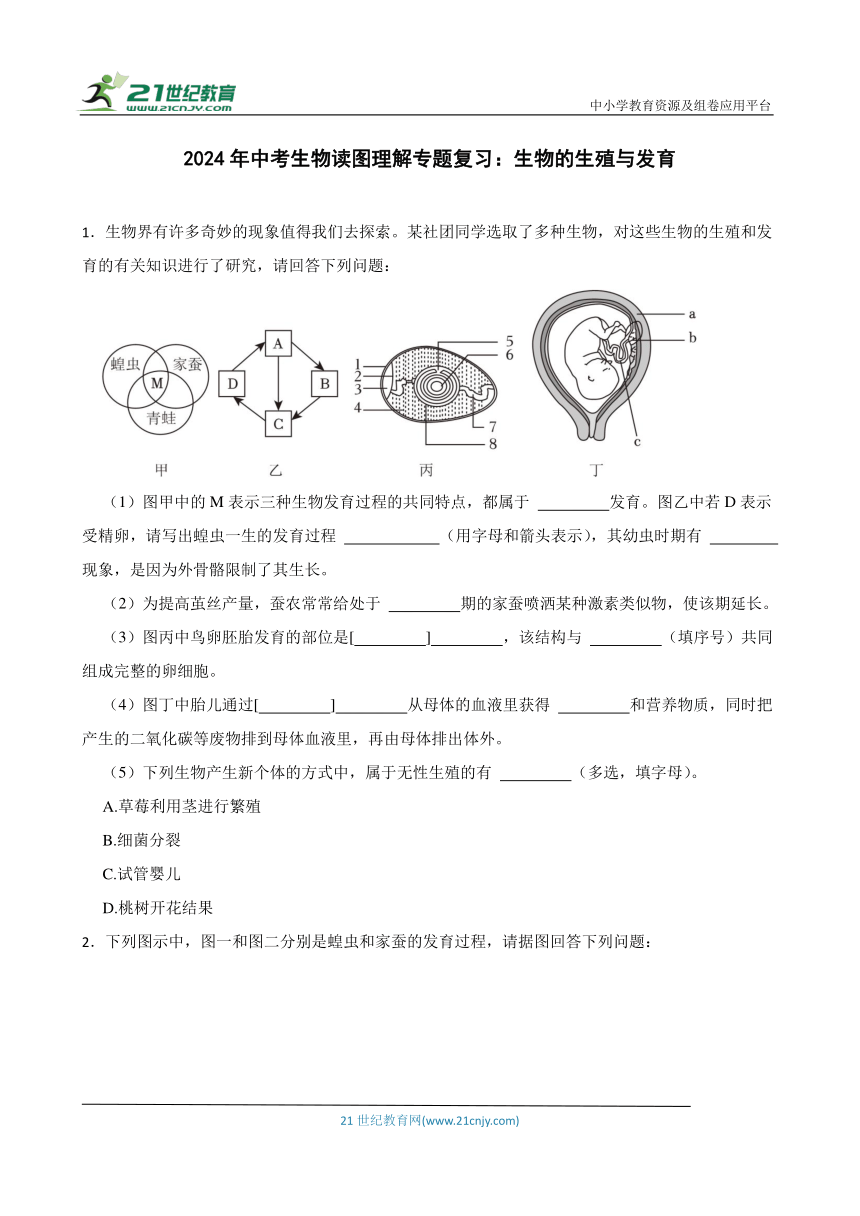 2024年中考生物读图理解专题复习：生物的生殖与发育（含答案）