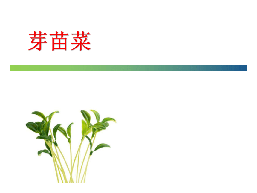 14.2 芽苗菜 课件(共44张PPT)- 《蔬菜生产技术(南方本)》同步教学（中国农业大学出版社）