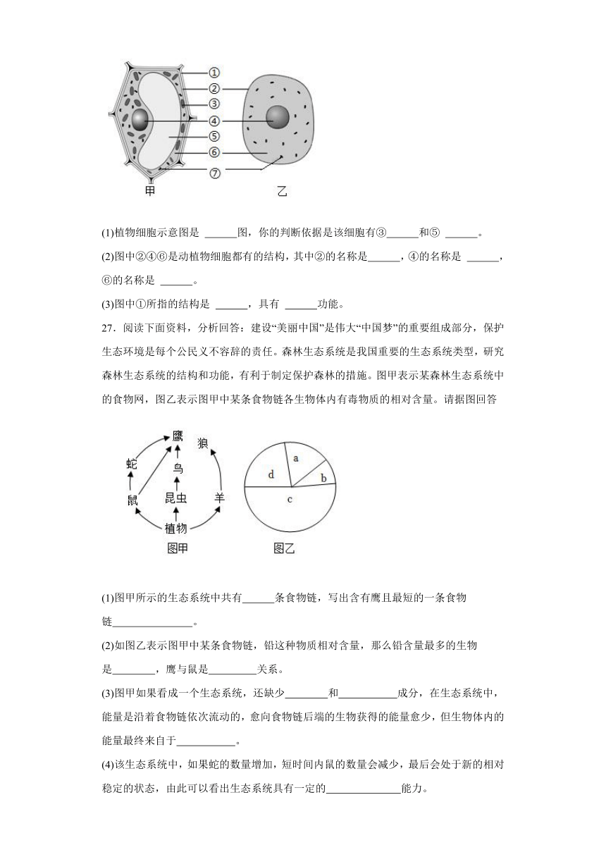 湖南省衡阳市外国语学校等校2023-2024学年七年级上学期期末联考 生物试题（含解析）