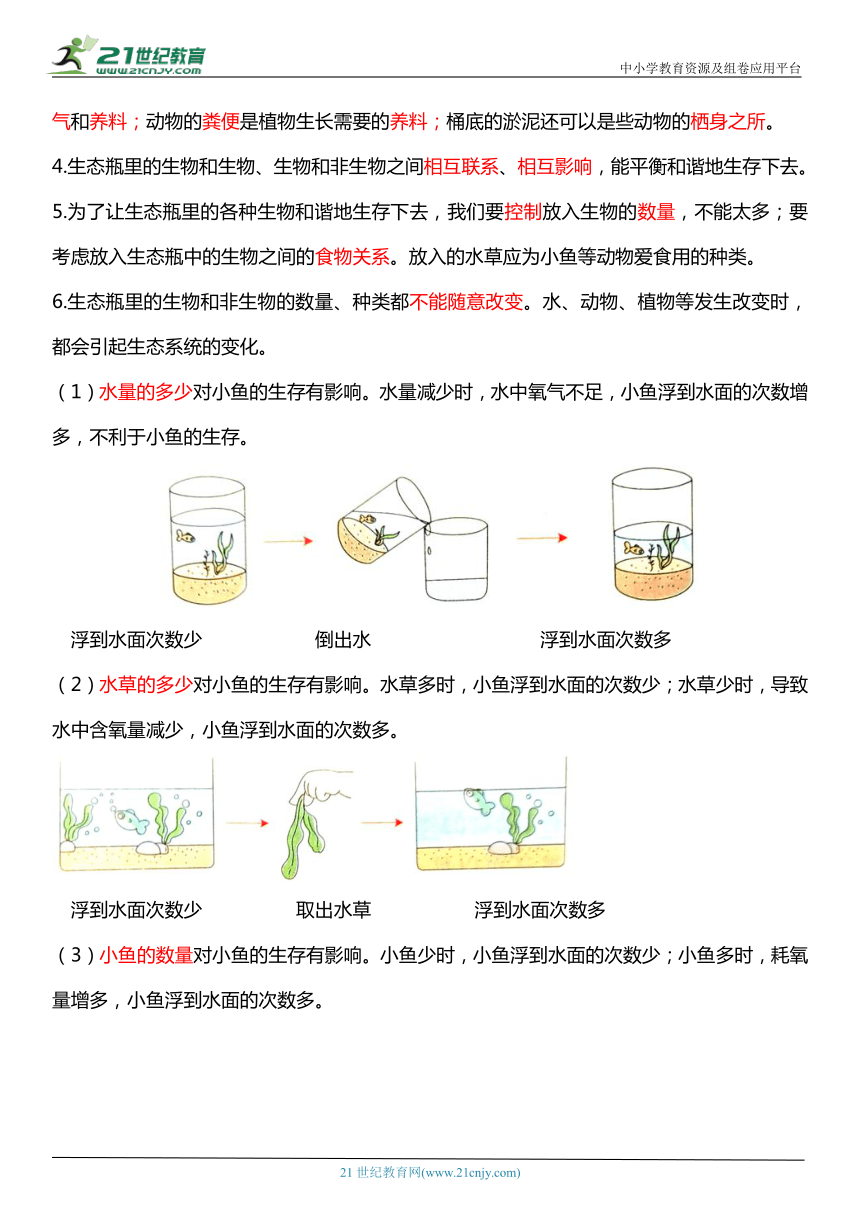 1.7《设计和制作生态瓶》知识点+同步练习（含答案）