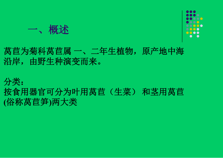 项目6.3 绿叶菜类蔬菜生产--莴苣菜 课件(共45张PPT)- 《蔬菜生产技术》同步教学（机械工业版）