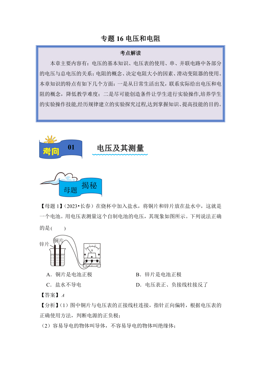 2024年中考物理母题解密专题16 电压和电阻讲义（含解析）