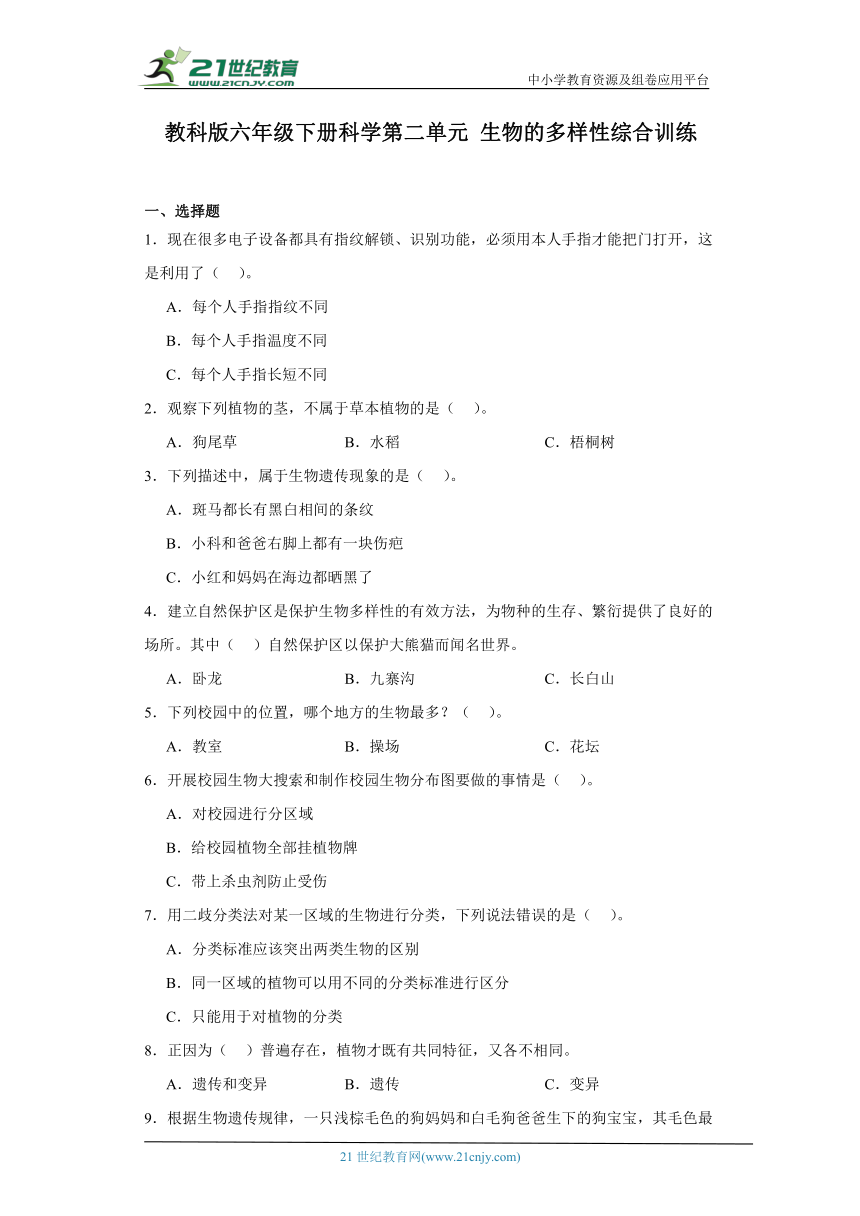 教科版六年级下册科学第二单元生物的多样性综合训练（含答案）