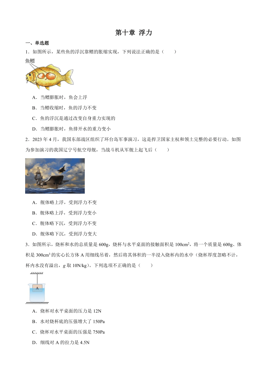 第十章 浮力 单元练习(含解析) 2023-2024学年人教版物理八年级下册