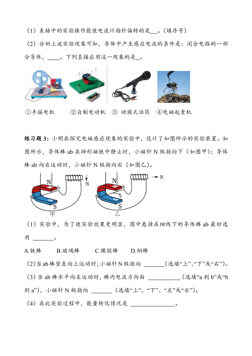 2023~2024学年湖北省武汉市四月调考物理专题复习——磁现象实验（有答案）