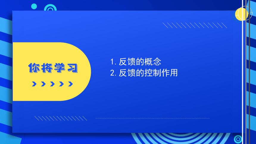 2023浙教版-信息科技六下-第3课 反馈与控制-课件(共19张PPT)