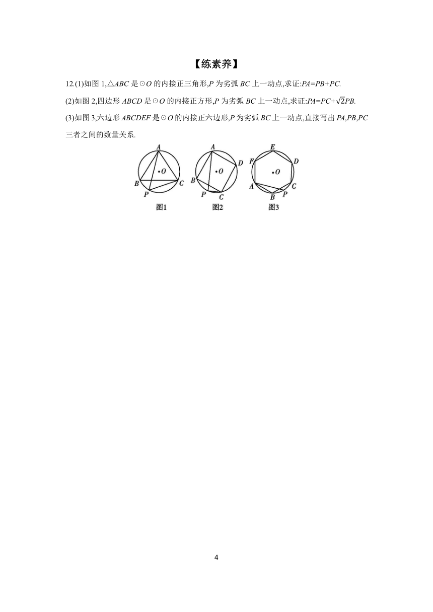 2023-2024学年初中数学冀教版九年级下册29.5 正多边形与圆 分层作业（含答案）