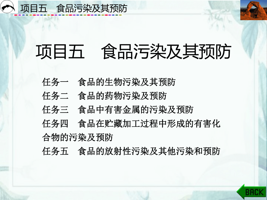 项目5  食品污染及其预防_4 课件(共37张PPT)- 《食品营养与卫生》同步教学（西安科大版）