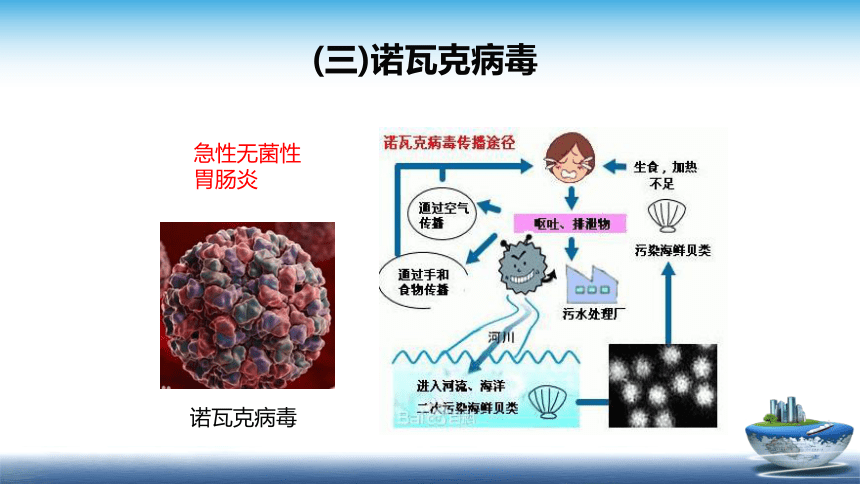 1.3.3  病毒对食品安全的影响、1.3.4 寄生虫和昆虫 课件(共35张PPT)- 《食品安全与控制第五版》同步教学（大连理工版）