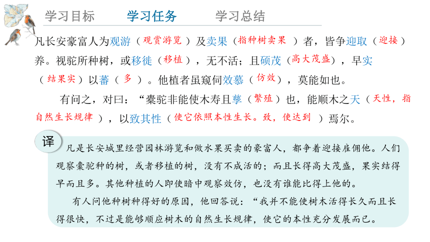 11.《种树郭橐驼传》 课件(共23张PPT)  2023-2024学年高一语文统编版选择性必修下册