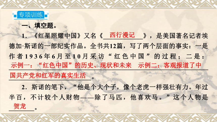 2024年中考语文一轮复习专题1 名著阅读  红星照耀中国   课件(共25张PPT)