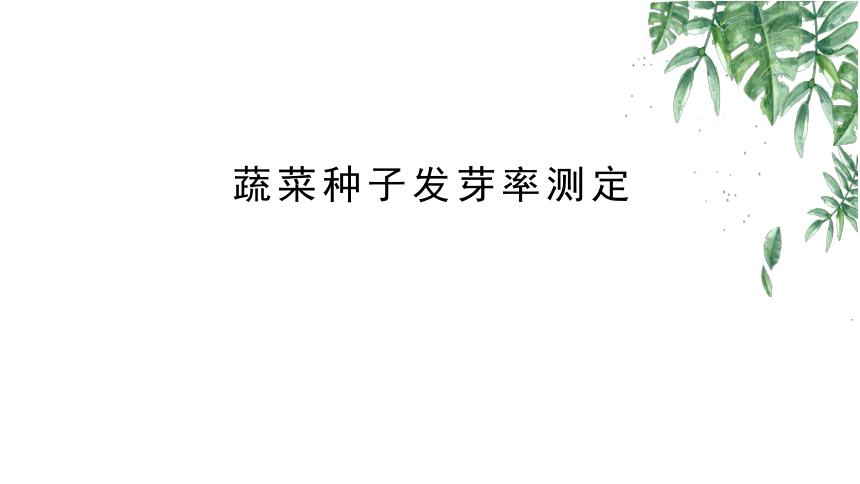 2.1.2蔬菜种子发芽率测定 课件(共41张PPT)-《蔬菜生产技术》同步教学（中国农业出版社）