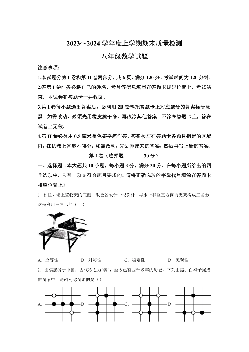 山东省日照市岚山区2023-2024学年八年级上学期期末数学试题（含解析）